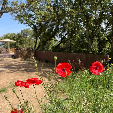 Gala - Maison Familiale Neuve, Calme Et Nature *