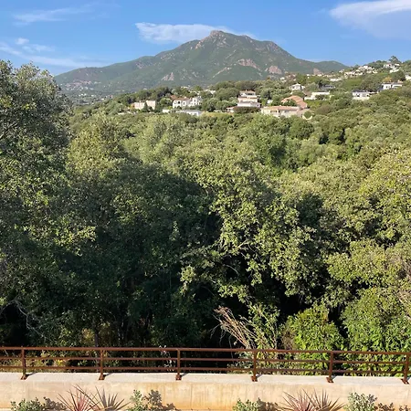 Gala - Maison Familiale Neuve, Calme Et Nature * Bastelicaccia